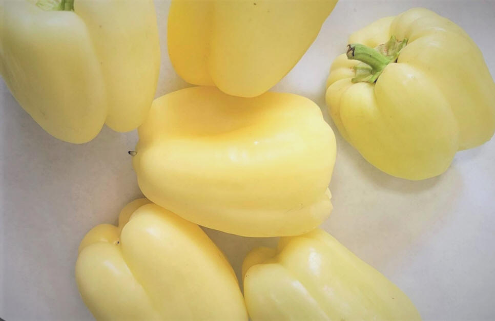Hungarian Peppers Magyar Paprika